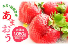 【2026年2月以降発送】先行予約！ブランドいちご「あまおう」 約1,080g（約270g×4パック）＜一般社団法人地域商社ふるさぽ＞那珂川市 フルーツ 果物 イチゴ 苺 あまおう いちご [GBX001]