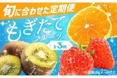 【全3回定期便】九州・福岡もぎたて フルーツ定期便 A＜一般社団法人地域商社ふるさぽ＞那珂川市 [GBX014]