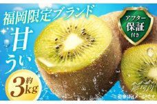 【先行予約】【2025年11月より順次発送】 希少 キウイ 福岡フルーツ王国 大人気 甘うぃ 約3kg ( 約20～28個 ) ＜一般社団法人地域商社ふるさぽ＞ フルーツ 福岡県 オリジナル品種 新種 甘い 直送 キウィ 果物 くだもの 福岡限定品種 新品種 人気の新ブランドキウイフルーツ 新ブランド 国産 国産ブランドキウイ 全国1位 [GBX007]