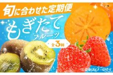 【全3回定期便】九州・福岡もぎたて フルーツ定期便 B＜一般社団法人地域商社ふるさぽ＞那珂川市 [GBX022]