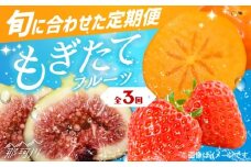 【全3回定期便】九州・福岡もぎたて フルーツ定期便 C＜一般社団法人地域商社ふるさぽ＞那珂川市 [GBX023]