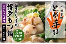 【全3回定期便】九州名物 とめ手羽 博多 もつ鍋 セット 九州しょうゆ味 2-3人前＜株式会社フェリックス＞那珂川市 鍋 もつ鍋 博多もつ鍋 [GCE011]