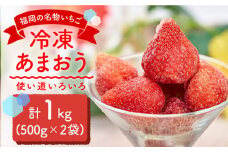 福岡産 冷凍 あまおう 1kg （500g×2袋）＜南国フルーツ株式会社＞那珂川市 フルーツ 果物 イチゴ 苺 あまおう いちご [GCD005]