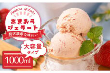 福岡産 あまおう ジェラート 1000ml＜南国フルーツ株式会社＞那珂川市 [GCD016]