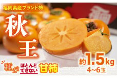【10月中旬より発送】福岡産ブランド柿 秋王 約1.5kg（4-6玉）＜南国フルーツ株式会社＞那珂川市 [GCD021]