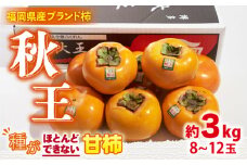【10月中旬より発送】福岡産ブランド 柿 秋王 約3kg（8-12玉）＜南国フルーツ株式会社＞那珂川市 [GCD022]