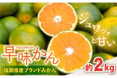 【9月中旬より発送】福岡産ブランドみかん 早味かん 約2kg＜南国フルーツ株式会社＞那珂川市 [GCD023]