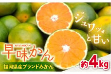 【9月中旬より発送】福岡産ブランド みかん 早味かん 約4kg＜南国フルーツ株式会社＞那珂川市 [GCD024]