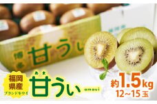 【10月下旬より発送】福岡産ブランド キウイ 甘うぃ 約1.5kg（12-15玉）＜南国フルーツ株式会社＞那珂川市 [GCD025]