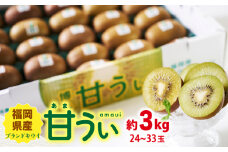【10月下旬より発送】福岡産ブランド キウイ 甘うぃ 約3kg（24-33玉）＜南国フルーツ株式会社＞那珂川市 [GCD026]