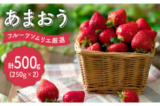 【12月上旬より発送】先行予約！福岡産【冬】 あまおう 2パック＜南国フルーツ株式会社＞那珂川市 フルーツ 果物 イチゴ 苺 あまおう いちご [GCD011]