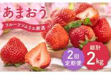 【全2回定期便】福岡産【春】いちご あまおう4パック＜南国フルーツ株式会社＞那珂川市 いちご 春いちご 苺 イチゴ ストロベリー フルーツ 果物 くだもの [GCD043]