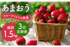 先行予約【全3回定期便】福岡産【冬】あまおう2パック＜南国フルーツ株式会社＞那珂川市 [GCD044]