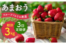 先行予約【全3回定期便】福岡産【冬】あまおう4パック＜南国フルーツ株式会社＞那珂川市 [GCD045]