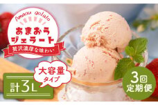 【全3回定期便】福岡産 あまおう ジェラート 1000ml＜南国フルーツ株式会社＞那珂川市 [GCD049]
