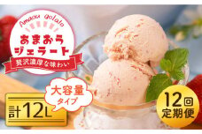【全12回定期便】福岡産 あまおう ジェラート 1000ml＜南国フルーツ株式会社＞那珂川市 [GCD051]