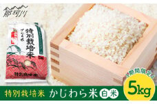 【9月中旬から発送】特別栽培米 かじわら米 新米 白米 5kg＜農事組合法人かじわら＞那珂川市 [GAI002]