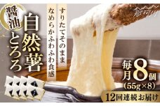 【全12回定期便】那珂川市産自然薯使用 自然薯 とろろ（醤油味）＜自然薯王国＞那珂川市 自然薯とろろ とろろ 自然薯 [GAH008]