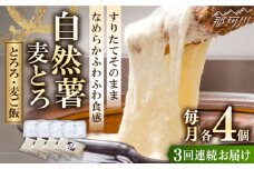 【全3回定期便】【那珂川市産自然薯使用】自然薯麦とろセット（4人前）＜自然薯王国＞那珂川市 自然薯とろろ とろろ 自然薯 [GAH009]