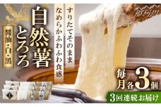 【全3回定期便】那珂川産 自然薯 自然薯 とろろ 味くらべセット 計9個（3種類×3個）＜自然薯王国＞那珂川市 自然薯とろろ とろろ 自然薯 [GAH012]