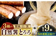【全6回定期便】那珂川産 自然薯 とろろ 味くらべセット 計9個（3種類×3個）＜自然薯王国＞那珂川市 自然薯とろろ とろろ 自然薯 [GAH013]