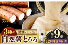 【全12回定期便】那珂川産 自然薯 とろろ 味くらべセット 計9個（3種類×3個）＜自然薯王国＞那珂川市 自然薯とろろ とろろ 自然薯 [GAH014]