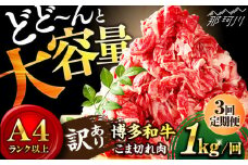 【全3回定期便】【たっぷり大容量！】博多和牛 切り落とし 1000g（500g×2P）＜株式会社MEAT PLUS＞那珂川市 切り落とし 切落し 牛肉 肉 黒毛和牛 国産[GBW013]