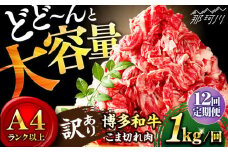 【全12回定期便】【たっぷり大容量！】博多和牛 切り落とし 1000g（500g×2P）＜株式会社MEAT PLUS＞那珂川市 切り落とし 切落し 牛肉 肉 黒毛和牛 国産[GBW015]
