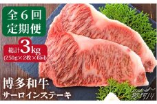 【全6回定期便】【溢れる肉汁と濃厚な旨味】博多和牛サーロインステーキセット 500g（250g×2枚）＜株式会社MEAT PLUS＞那珂川市 ステーキ サーロイン 牛肉 肉 黒毛和牛 国産[GBW017]