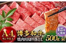 【全12回定期便】【和牛の旨味を堪能！】博多和牛焼肉用 500g＜株式会社MEAT PLUS＞那珂川市 焼肉 牛肉 肉 黒毛和牛 国産[GBW021]