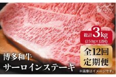 【全12回定期便】【A4ランク以上！】博多和牛 サーロインステーキ250g×1枚＜株式会社MEAT PLUS＞那珂川市 すき焼き しゃぶしゃぶ 牛肉 肉 黒毛和牛 国産[GBW033]