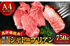 【9月～寄付額変更！】【希少部位！】博多和牛 シャトーブリアン ステーキ 150g×5枚 （計750g）＜肉のくまもと屋＞ 那珂川市 ステーキ 肉 黒毛和牛 赤身 ステーキ肉 フィレ ヒレ シャトーブリアン ヒレ肉 [GBI053]