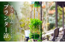 【ステンドグラスのある暮らし】プランター涼（テラリウム）＜ウェーブGグラス工房＞那珂川市 [GAW014]