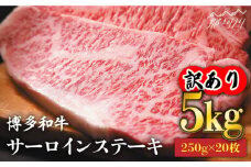 【訳あり】博多和牛 サーロイン ステーキ セット 5kg（250g×20枚）＜株式会社MEAT PLUS＞那珂川市 すき焼き しゃぶしゃぶ サーロイン 牛肉 肉 黒毛和牛 国産[GBW053]