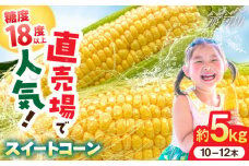 【5月末より発送】極甘 朝採れ スイートコーン 約5kg (10-12本入り) とうもろこし 極甘 トウモロコシ 甘い ＜ちくし農園＞那珂川市 コーン もろこし 人気  糖度 野菜 産地直送  お取り寄せ 朝採り 大容量 期間限定[GDU001]