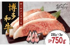 博多和牛 サーロインステーキ 約750g（250g×3枚）自家製ジャポネソース付き＜株式会社くしだ企画＞那珂川市 [GZI009]