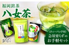 福岡銘茶 八女茶 ティーバッグ付 急須要らずのお手軽セット（便利なチャック付）＜株式会社マル五＞那珂川市 [GDW031]