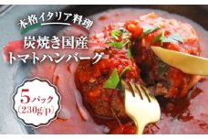 炭焼き国産ハンバーグ(トマトソース)230g×5個＜PUNTO MARE＞那珂川市 [GCB004]