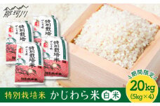 【9月中旬から発送】特別栽培米 かじわら米 新米 白米  計20kg（5kg×4）＜農事組合法人かじわら＞白米 米  [GAI005]