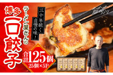 冷凍 博多一口餃子 25個入り×5パック＜麺専科げんき＞那珂川市 餃子 博多 冷凍 ぎょうざ 一口餃子 ひとくち餃子 博多餃子 [GEG002]
