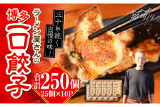 冷凍 博多一口餃子 25個入り×10パック＜麺専科げんき＞那珂川市 餃子 博多 冷凍 ぎょうざ 一口餃子 ひとくち餃子 博多餃子 [GEG003]