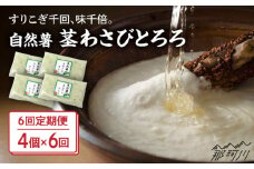 【全6回定期便】自然薯茎わさびとろろ 40g×4個＜自然薯王国＞那珂川市 自然薯とろろ とろろ 自然薯 [GAH025]