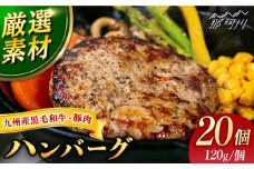 【満足度高！！！】九州産黒毛和牛と九州産豚肉 ハンバーグ 20個セット＜なかがわ市場 うしじま＞那珂川市 ハンバーグ 豚肉 牛肉 合い挽き [GAR014]