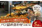 パン クロワッサン 明太子パン 明太子 辛子明太子 お惣菜パン
