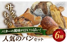Plume 人気6種パンセット＜博多の味本舗＞那珂川市 パン クロワッサン 明太子パン 明太子 辛子明太子 お惣菜パン [GAE066]