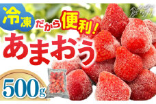 【福岡スイーツ自然の贈り物】福岡県産冷凍あまおう合計500g（500g×１袋）＜株式会社BeerO’Clock＞那珂川市 [GES028]