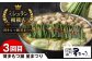 もつ鍋セット 一藤 博多 福岡 国産 もつ鍋 もつ ホルモン モツ鍋 食べ比べ 味噌 みそ 醤油 人気 ちゃんぽん