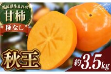 【2025年10月以降発送】福岡より直送！ 種がほとんどない新ブランド 柿 秋王 約3.5kg＜一般社団法人地域商社ふるさぽ＞那珂川市 [GBX051]