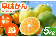 【2025年9月以降発送】産地直送！福岡県オリジナル品種 みかん 「早味かん」＜一般社団法人地域商社ふるさぽ＞那珂川市 [GBX053]