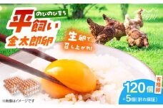 【TVで紹介！】【鮮度ＡＡ級の世界最高ランク！】金太郎卵 平飼い たまご まとめ買い120個（箱でお届け）＜有限会社フジノ香花園＞那珂川市 平飼い たまご 大容量 こだわり 餌 平飼い 新鮮 朝食 九州産 鶏卵 地鶏 生卵 玉子 ギフト 濃厚 贈り物 ギフト  割れ保証付き[GAM031]